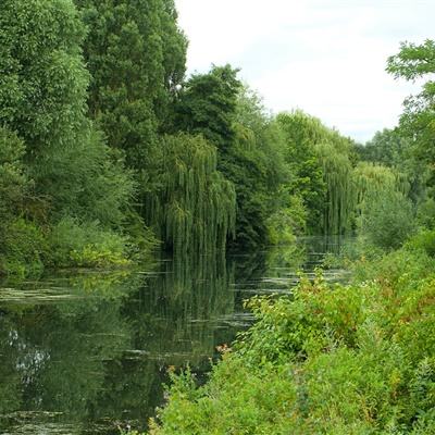 金年会手机app官方下载