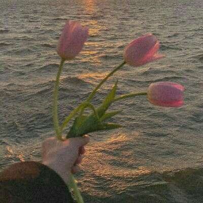 炸金花单机游戏手机app下载截图