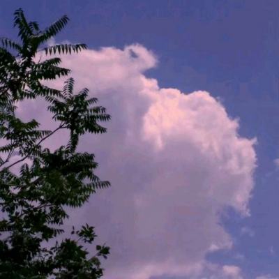 火狐体育下载app下载手机版