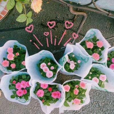 竞彩足球app手机app下载截图