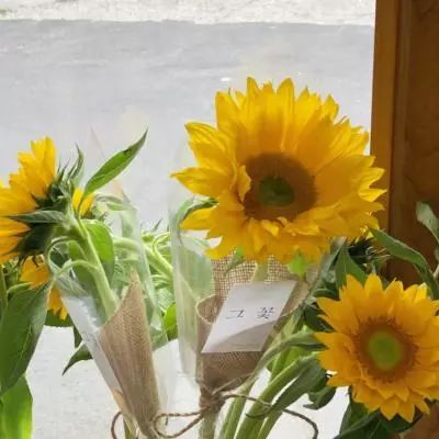 炸金花单机游戏手机app下载